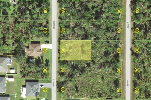 Land in Punta Gorda, Florida № 2159223