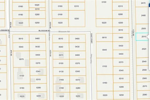 Land in DeLand, Florida № 2228954 - photo 2