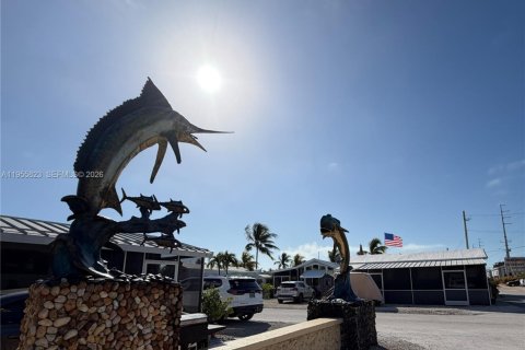 Land in Marathon, Florida № 2009828 - photo 2