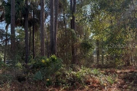 Land in Fort MC Coy, Florida № 2165267 - photo 3