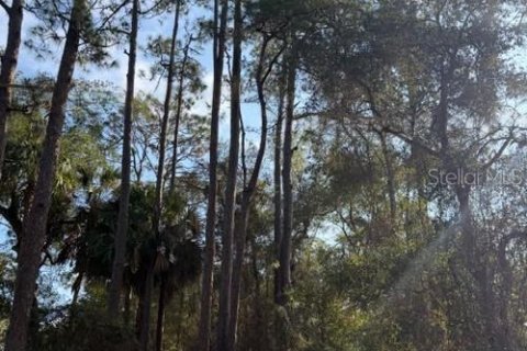 Land in Fort MC Coy, Florida № 2165267 - photo 2