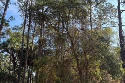 Land in Fort MC Coy, Florida № 2165267