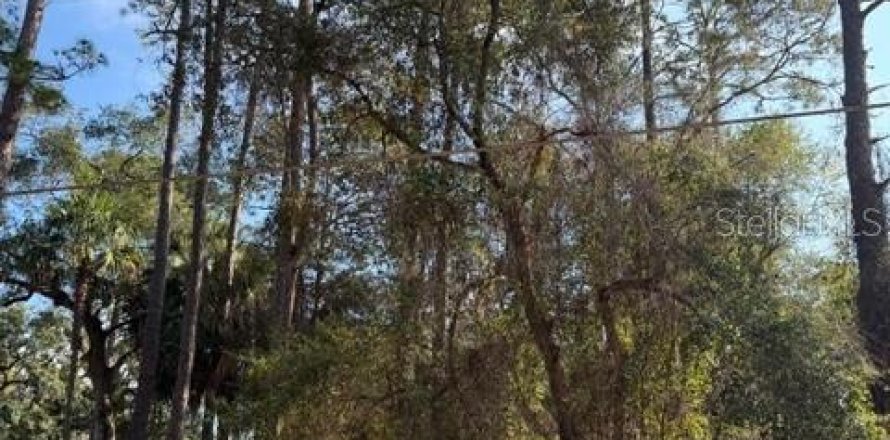 Land in Fort MC Coy, Florida № 2165267