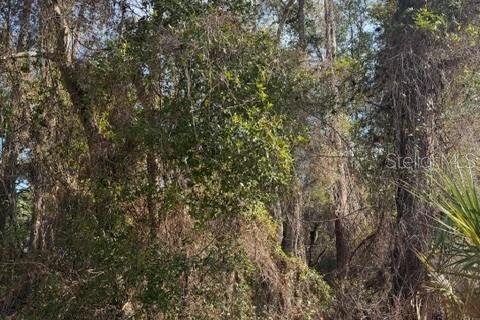 Land in Fort MC Coy, Florida № 2165267 - photo 4