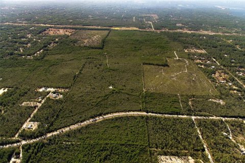 Terreno en venta en Dunnellon, Florida № 2148693 - foto 21