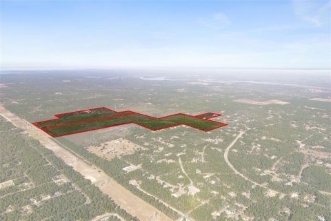 Terreno en venta en Dunnellon, Florida № 2148693 - foto 3