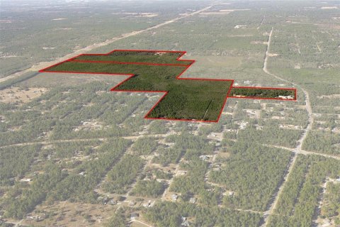 Terreno en venta en Dunnellon, Florida № 2148693 - foto 5