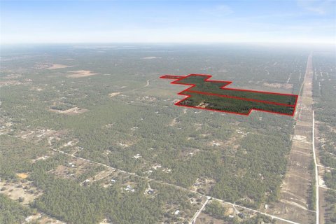 Terreno en venta en Dunnellon, Florida № 2148693 - foto 7