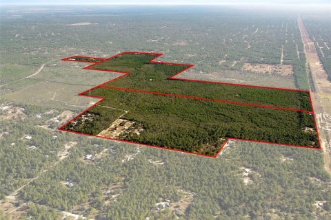 Terreno en venta en Dunnellon, Florida № 2148693 - foto 8