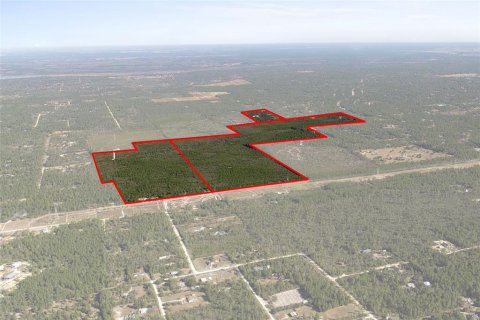Terreno en Dunnellon, Florida № 2148693
