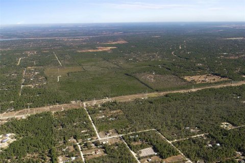 Terreno en venta en Dunnellon, Florida № 2148693 - foto 9