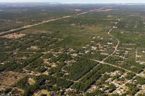 Terreno en venta en Dunnellon, Florida № 2148693 - foto 17