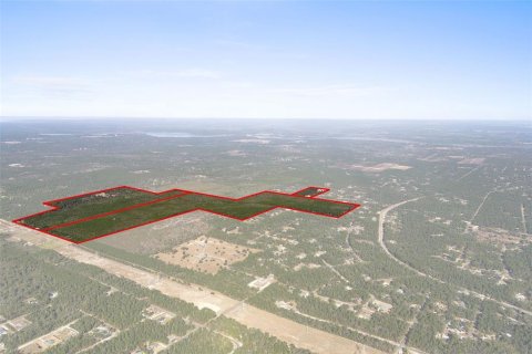 Terreno en venta en Dunnellon, Florida № 2148693 - foto 2