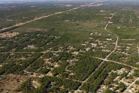 Terreno en venta en Dunnellon, Florida № 2148693 - foto 16
