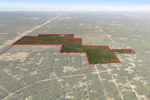 Terreno en venta en Dunnellon, Florida № 2148693 - foto 4