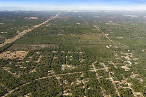 Terreno en venta en Dunnellon, Florida № 2148693 - foto 14