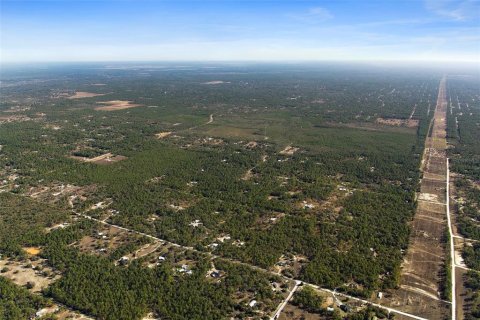 Terreno en venta en Dunnellon, Florida № 2148693 - foto 20