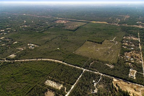 Terreno en venta en Dunnellon, Florida № 2148693 - foto 22