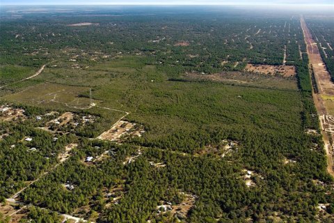 Terreno en venta en Dunnellon, Florida № 2148693 - foto 19