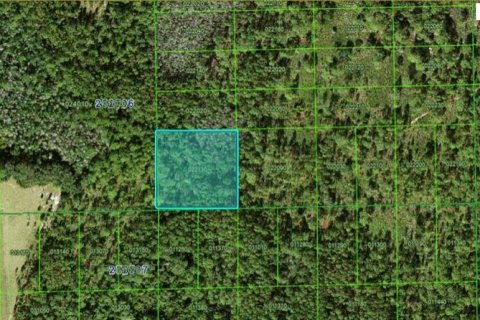Terreno en Polk City, Florida № 2202895