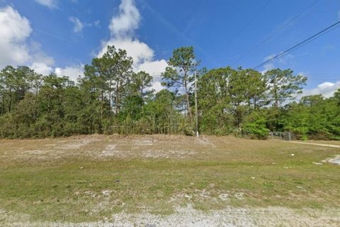 Land in Polk City, Florida № 2202895 - photo 2