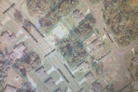 Land in Ocala, Florida № 1894150 - photo 3