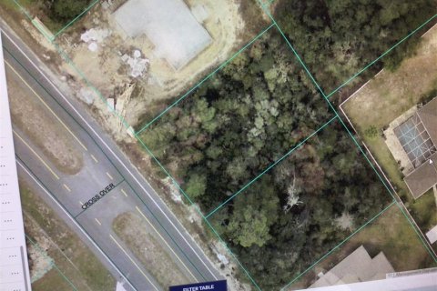 Land in Ocala, Florida № 1894150 - photo 1