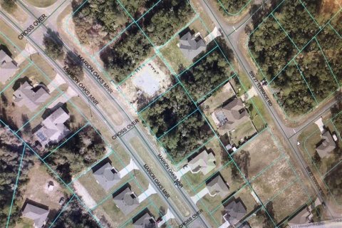 Land in Ocala, Florida № 1894150 - photo 2