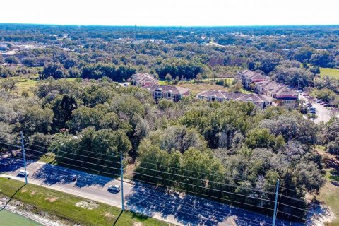 Land in Zephyrhills, Florida № 1580448 - photo 8