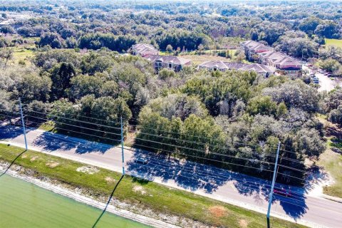 Land in Zephyrhills, Florida № 1580448 - photo 9