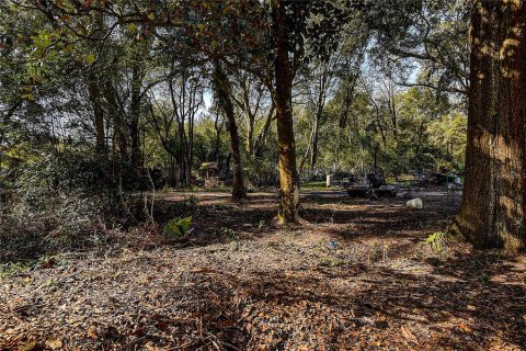 Land in Zephyrhills, Florida № 1580448 - photo 17