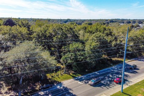 Land in Zephyrhills, Florida № 1580448 - photo 11