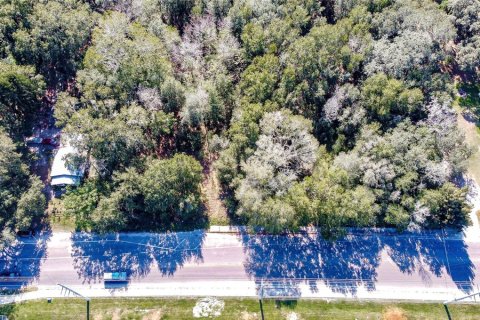Land in Zephyrhills, Florida № 1580448 - photo 7
