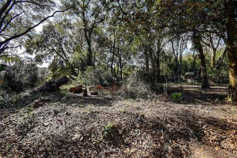 Land in Zephyrhills, Florida № 1580448 - photo 15
