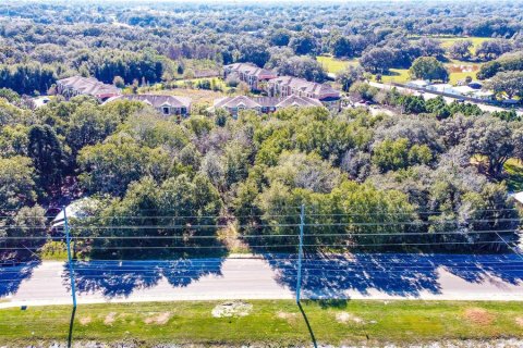 Land in Zephyrhills, Florida № 1580448 - photo 10