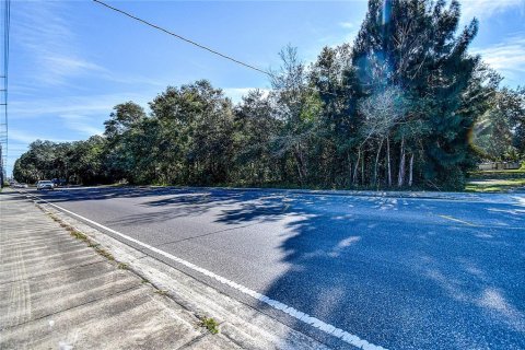 Land in Zephyrhills, Florida № 1580448 - photo 14