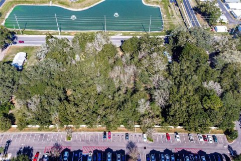 Land in Zephyrhills, Florida № 1580448 - photo 6