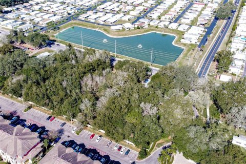 Land in Zephyrhills, Florida № 1580448 - photo 4