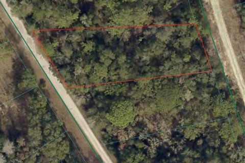Land in Ocklawaha, Florida № 2371581 - photo 2