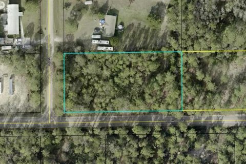 Land in Bunnell, Florida № 2224182