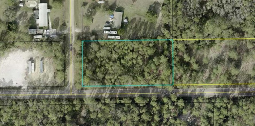 Land in Bunnell, Florida № 2224182