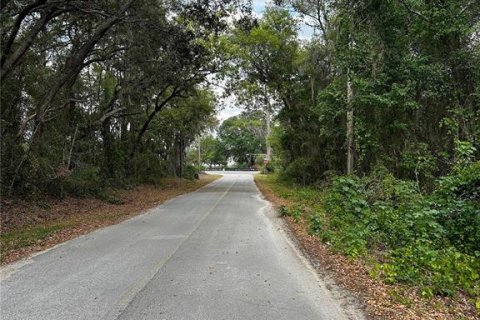 Land in Ocklawaha, Florida № 2165210 - photo 5