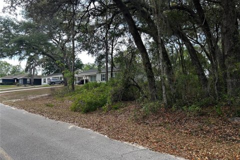 Land in Ocklawaha, Florida № 2165210 - photo 8
