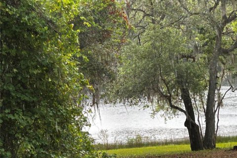 Land in Ocklawaha, Florida № 2165210 - photo 3