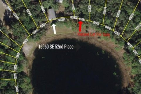 Land in Ocklawaha, Florida № 2165210