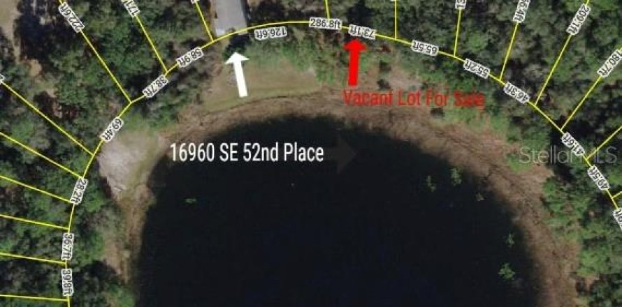 Land in Ocklawaha, Florida № 2165210