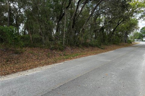 Land in Ocklawaha, Florida № 2165210 - photo 7