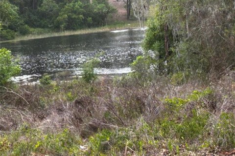 Land in Ocklawaha, Florida № 2165210 - photo 4