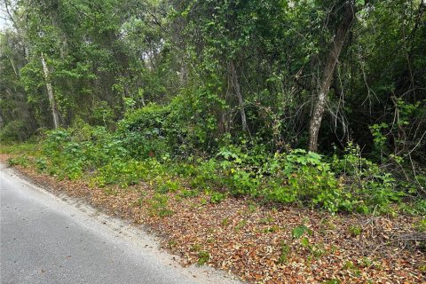 Land in Ocklawaha, Florida № 2165210 - photo 2