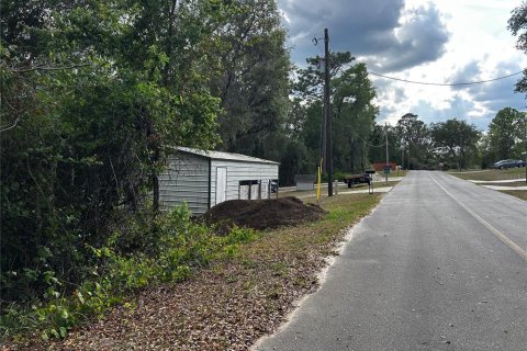Land in Ocklawaha, Florida № 2165210 - photo 6